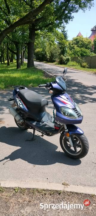 Longja Zipp alien 50 2t Wrocław