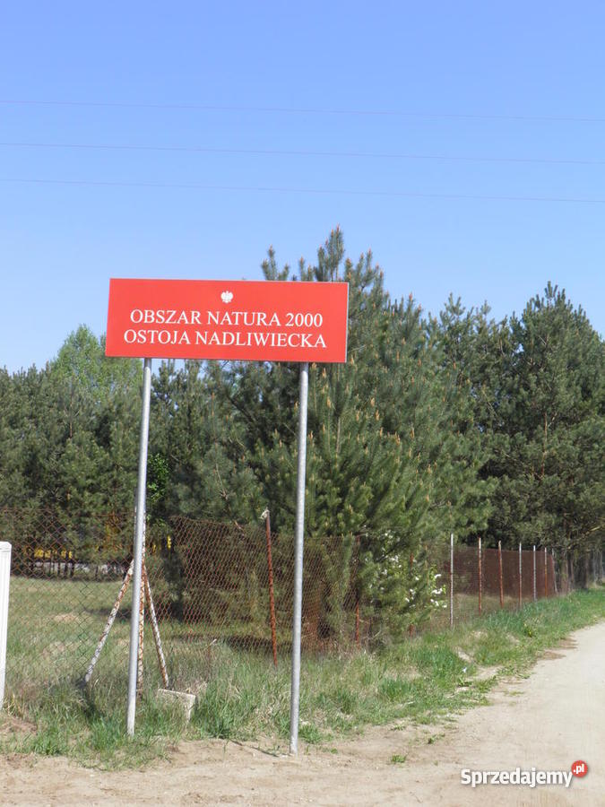 działkę rekreacyjną w miejscowości Zawiszyn rze Zawiszyn