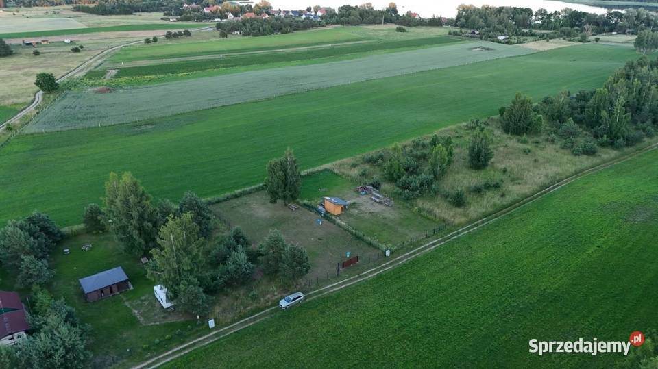 Działka rekreacyjna 10 arów w pobliżu jeziora Sprzedaż warmińsko-mazurskie Pisz sprzedam