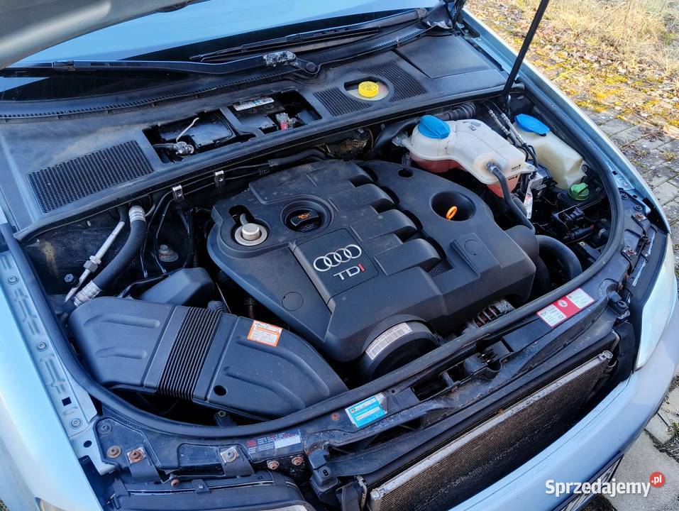 Audi A4 19 TDI 03 zadbany zar w ABS zachodniopomorskie Gryfino