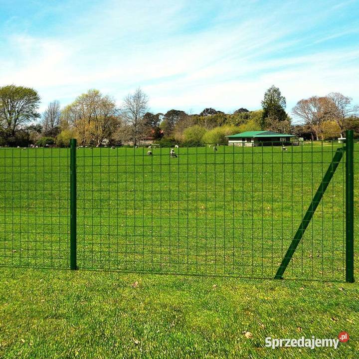 vidaXL Euro ogrodzenie stalowe 25 x 08 m Pozostałe Warszawa