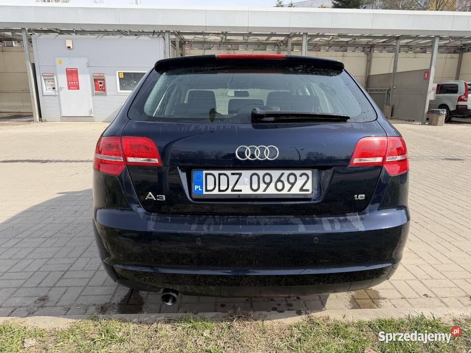 Audi A3 8p 16 mpi A3 Dzierżoniów