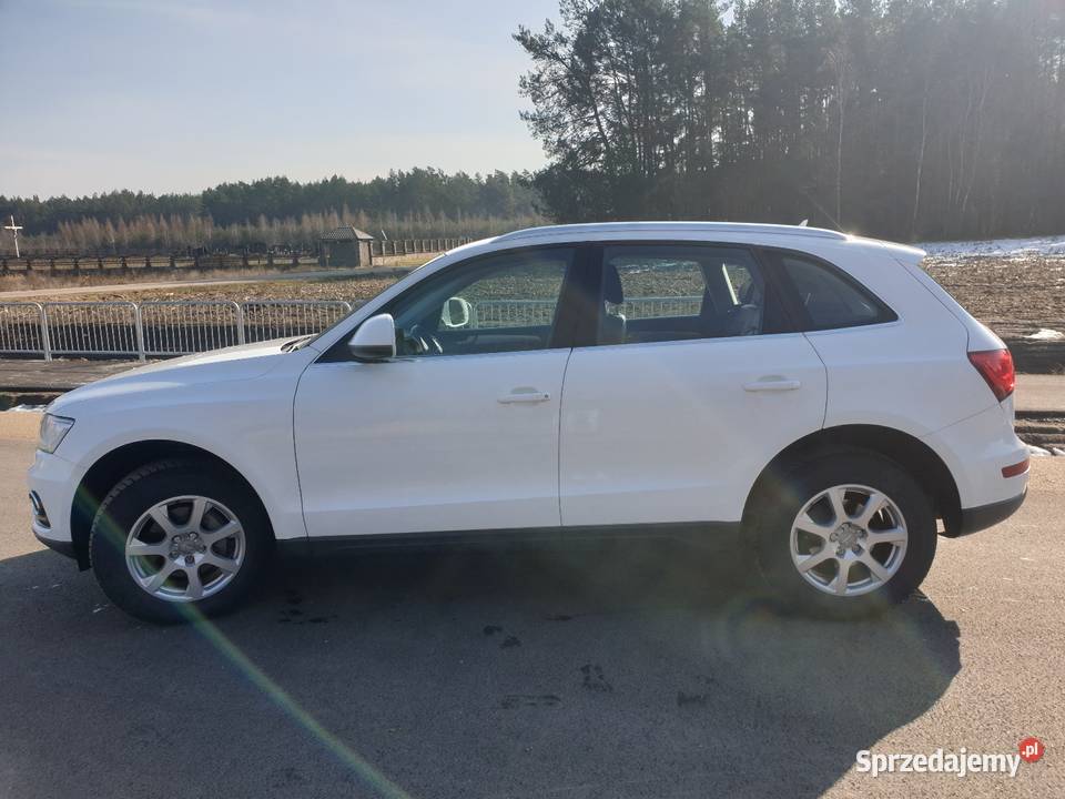Audi Q5 20Tdi 177 Quattro 2014r Rok produkcji 2014 Ciechanowiec