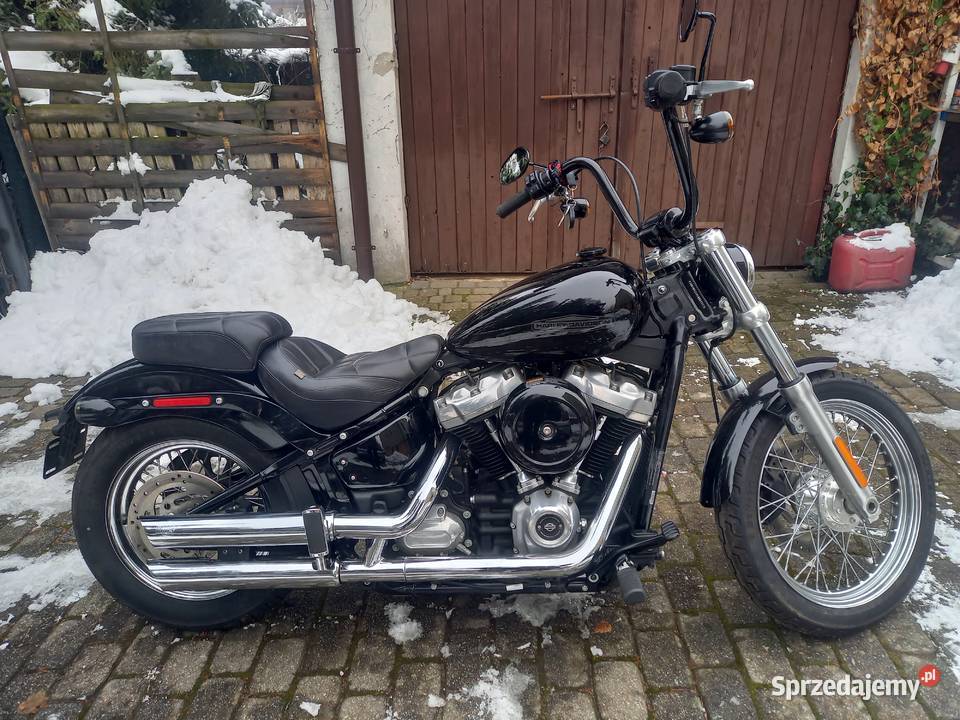 HarleyDavidson Fxst Softail Standard M8 Niski Bielsko-Biała