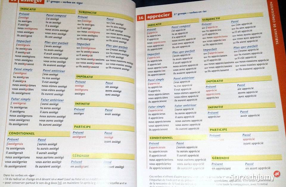 Bescherelle la conjugaison pour tous Michel Książki i Podręczniki lubelskie Chełm