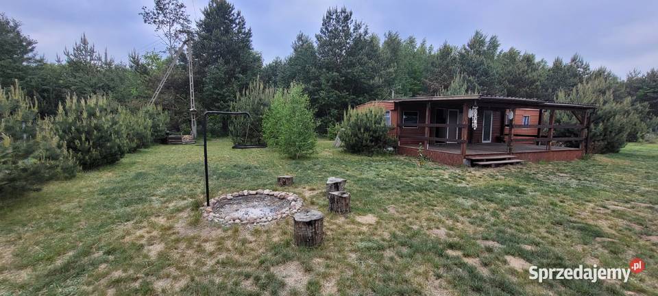 Działka rekreacyjna z warunkami siatka Złotniki-Kolonia