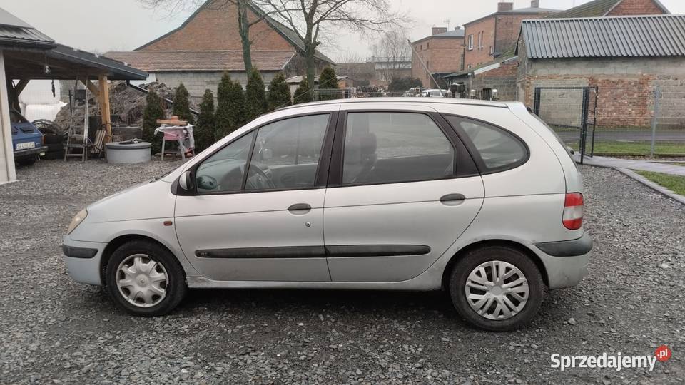 Renault Scenic Kochanowice
