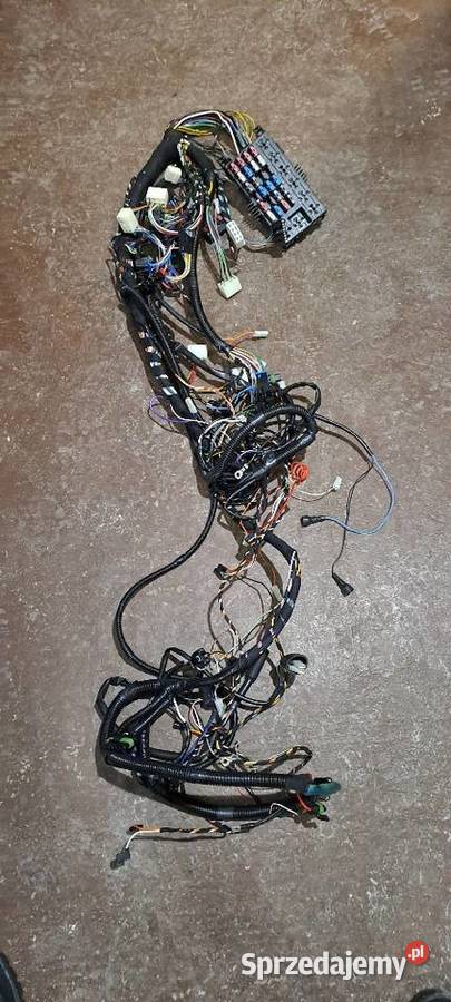 POLONEZ WIAZKA NOWA Żory