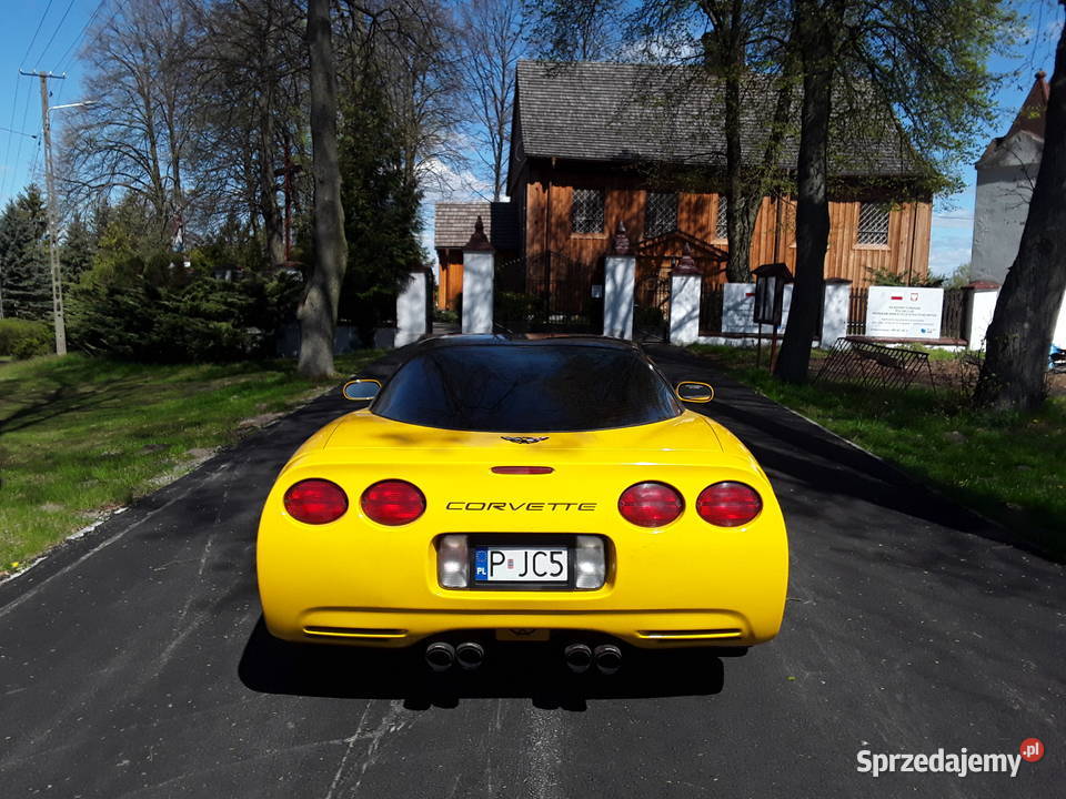 chevrolet corvette c5 Rok produkcji 2002 mazowieckie Warszawa