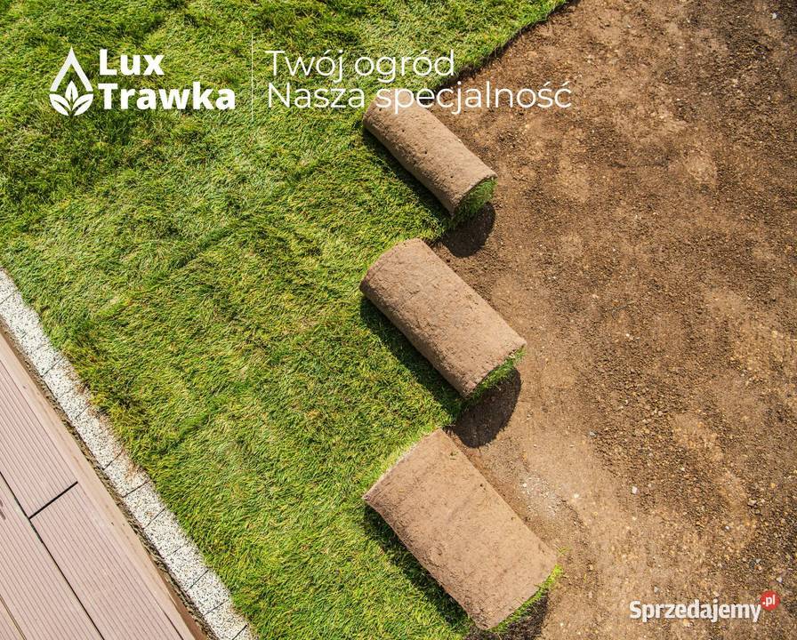 Trawa w rolce Trawa z rolki Sezonowana 12 18 małopolskie Kraków