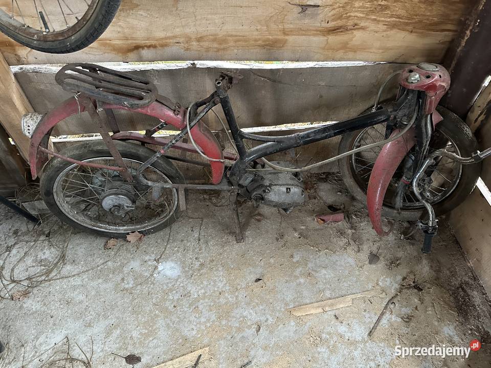 Komar Rok produkcji 1999