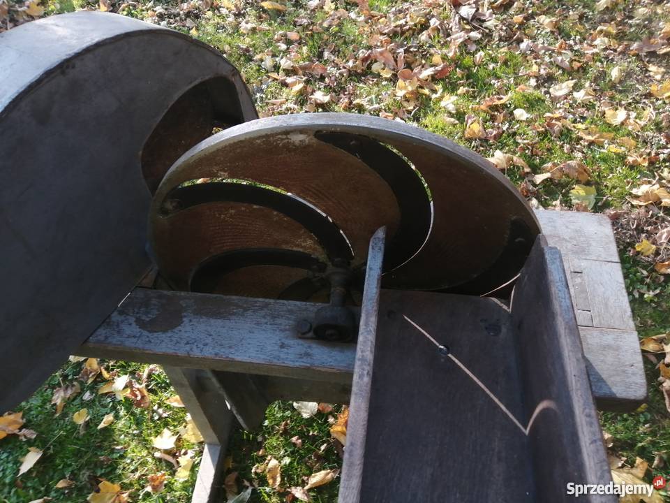 Szatkownica do kapusty