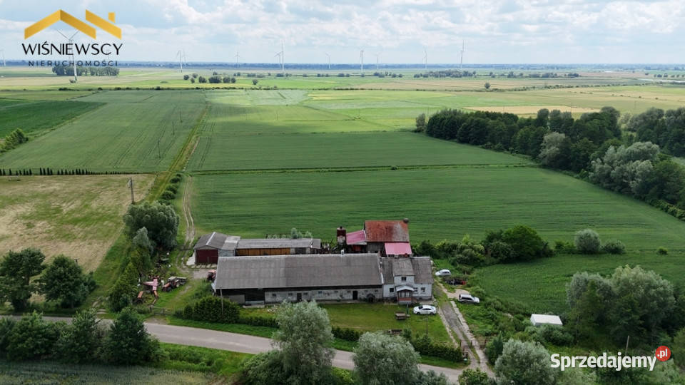 13 działek z WZ Świerznica 199 m Sprzedaż