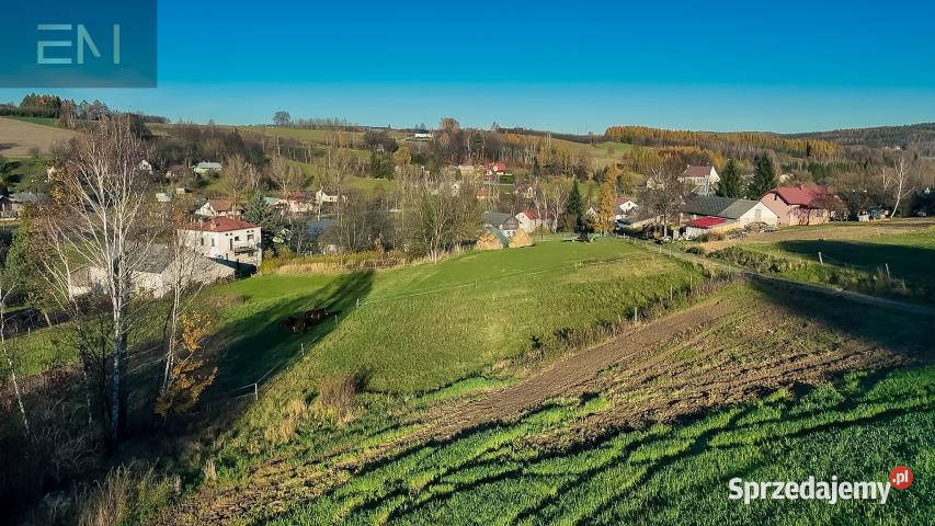 Do sprzedaży działka 1223 metry Nowa Wieś 1223m2