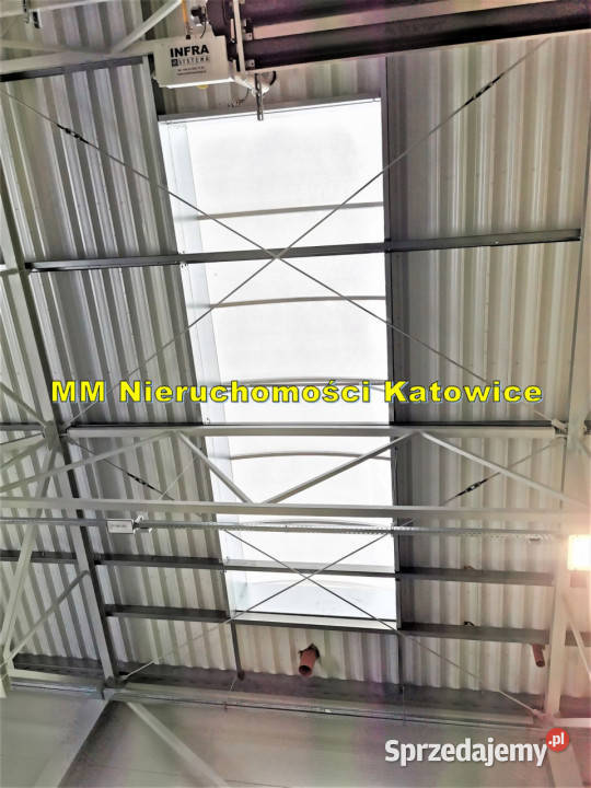 Wynajem lokalu Katowice 745m2 745m2