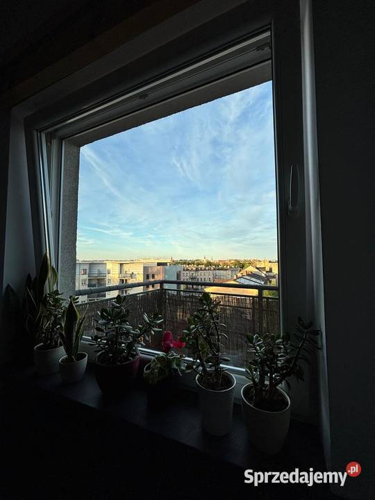 Sprzedam mieszkanie gotowe do zamieszkania apartamentowiec Kalisz