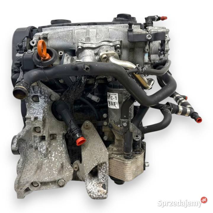 SILNIK BRE Audi A4 B7 A6 C6 20 TDI 140 diesel Chełm