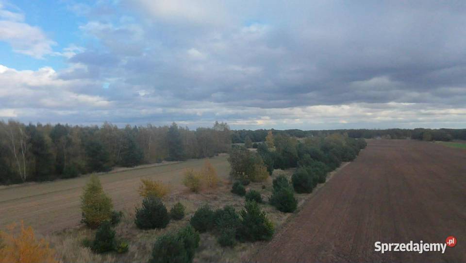 DZIAŁKA BUDOWLANOINWESTYCYJNA Józefowo gmina wielkopolskie Piotrowice sprzedam