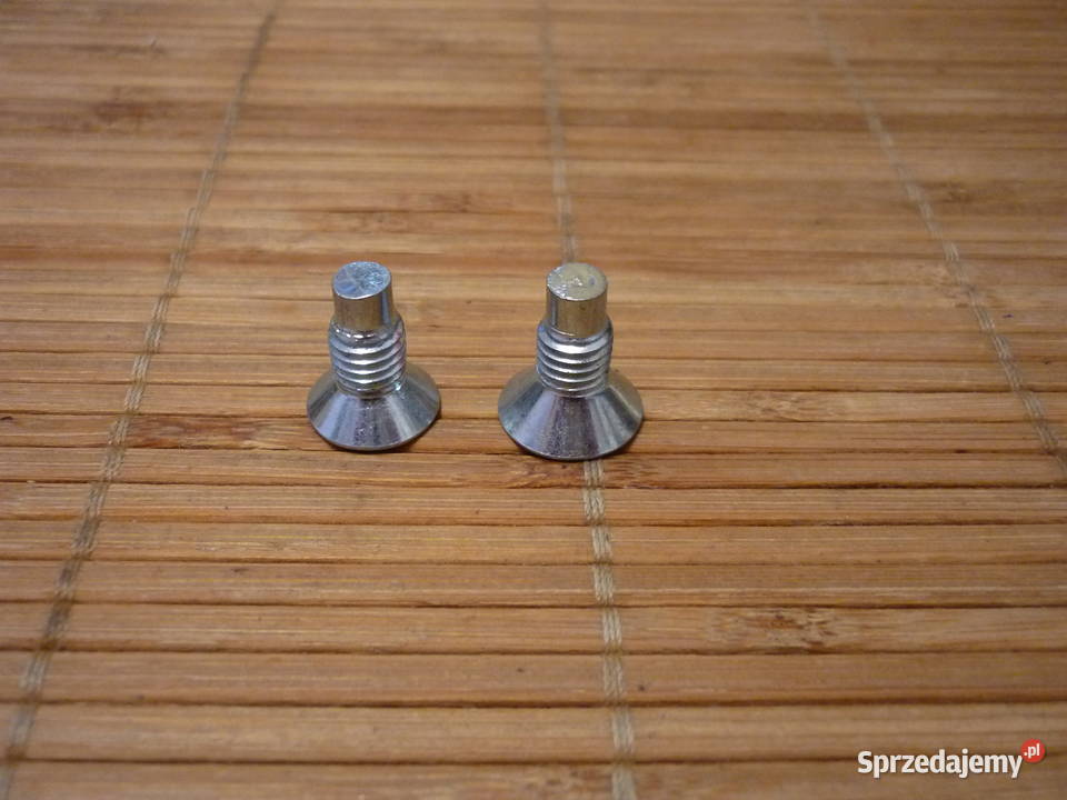 Śruba tarczy hamulcowej 2 7703004176 Renault tarcze Układ hamulcowy Łódź