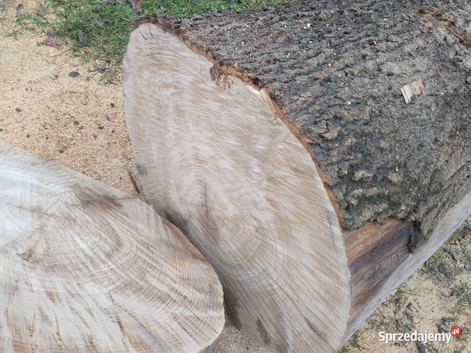 Sprzedam drzewo Jesion lubelskie Dzwola