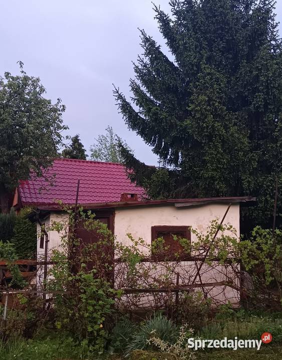 Sprzedam prawa do działki ROD Szartotka 7 arów Sprzedaż Legnica