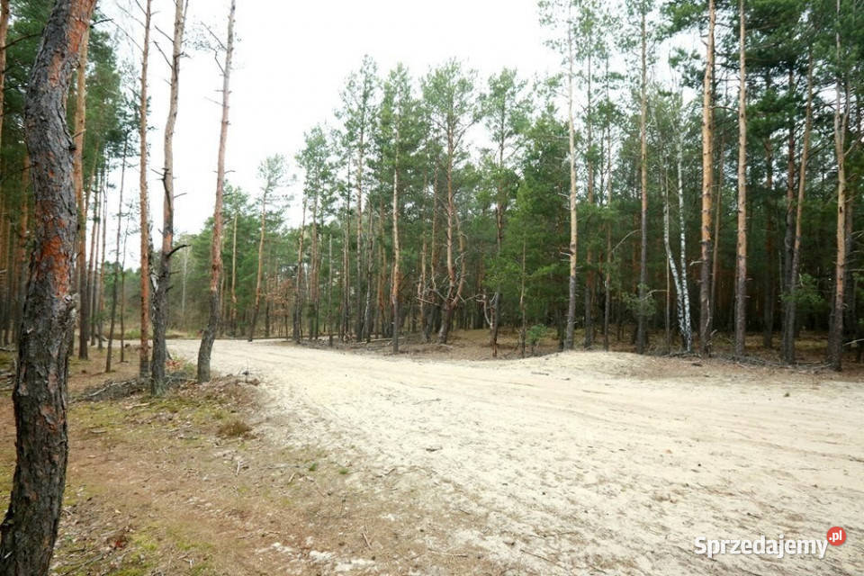 Działka inwestycyjna