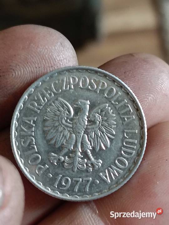 Sprzedam 1 zl 1977r zzm nierowne ranty blad Chełm