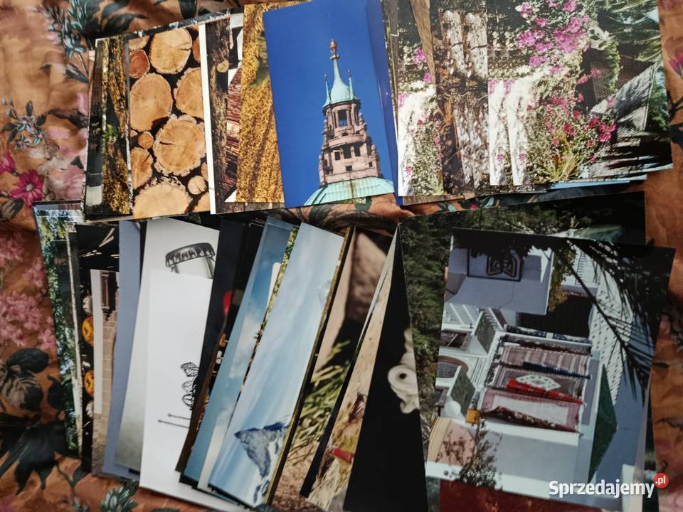 Zdjęcia a4a3 90 natura rzeczy figury zwierzęta Choszczno sprzedam