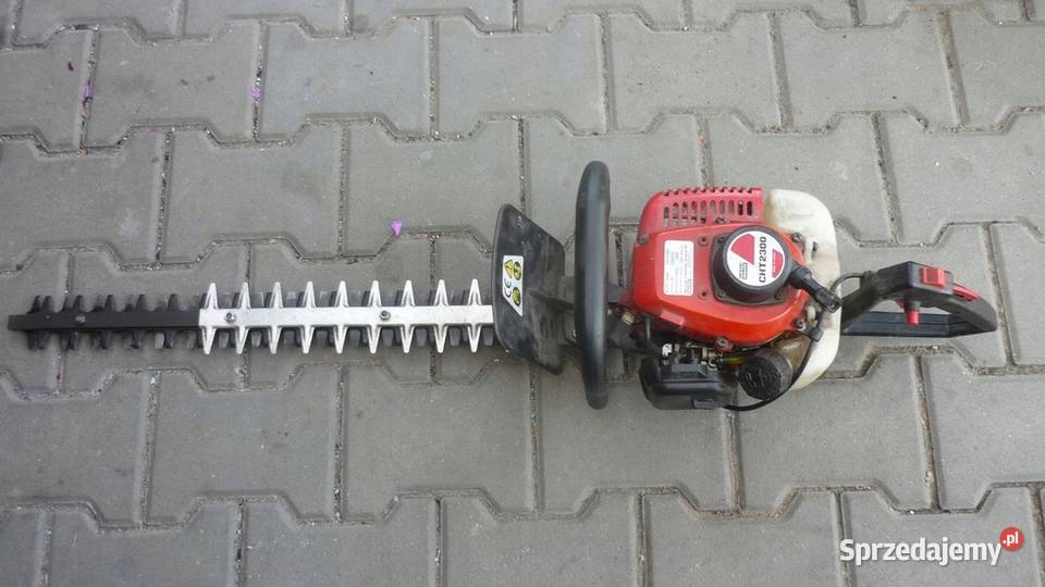 Prace ogrodnicze koszenie traw cięcie żywopłotu Warszawa