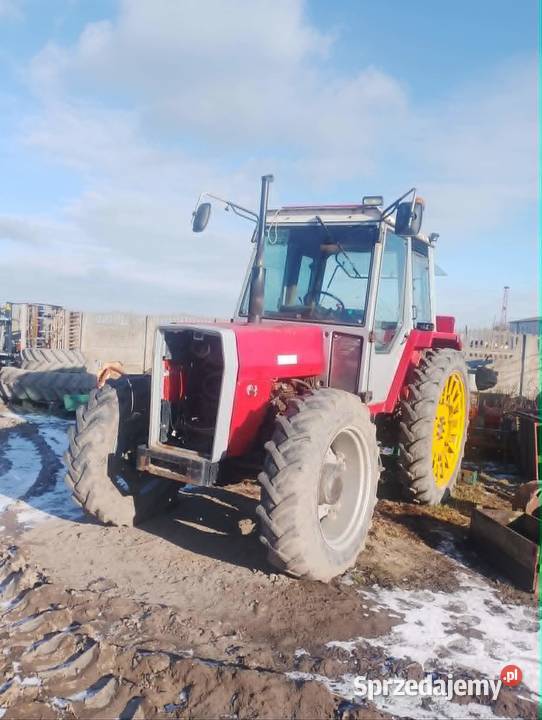 Massey Ferguson 675 Brześć Kujawski