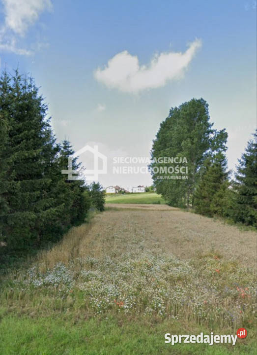 sprzedaży gruntu Sławoszyno 1300m2 23m Sprzedaż
