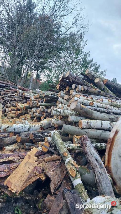 Drewno opałowe kominkowe z transportem sprzedam