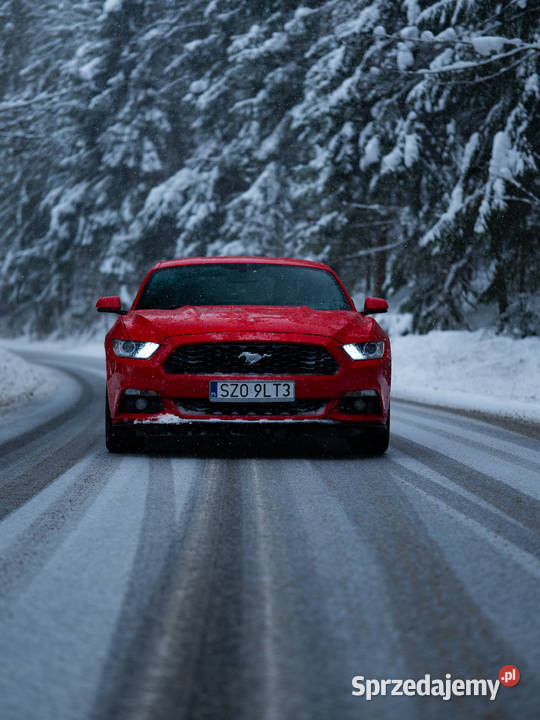 Ford Mustang 23 EcoBoost Rok produkcji 2017 Żory sprzedam