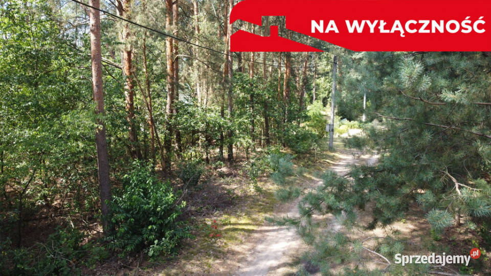 Działka letniskowa 800 m2 w Woli Chodkowskiej Sprzedaż Wola Chodkowska
