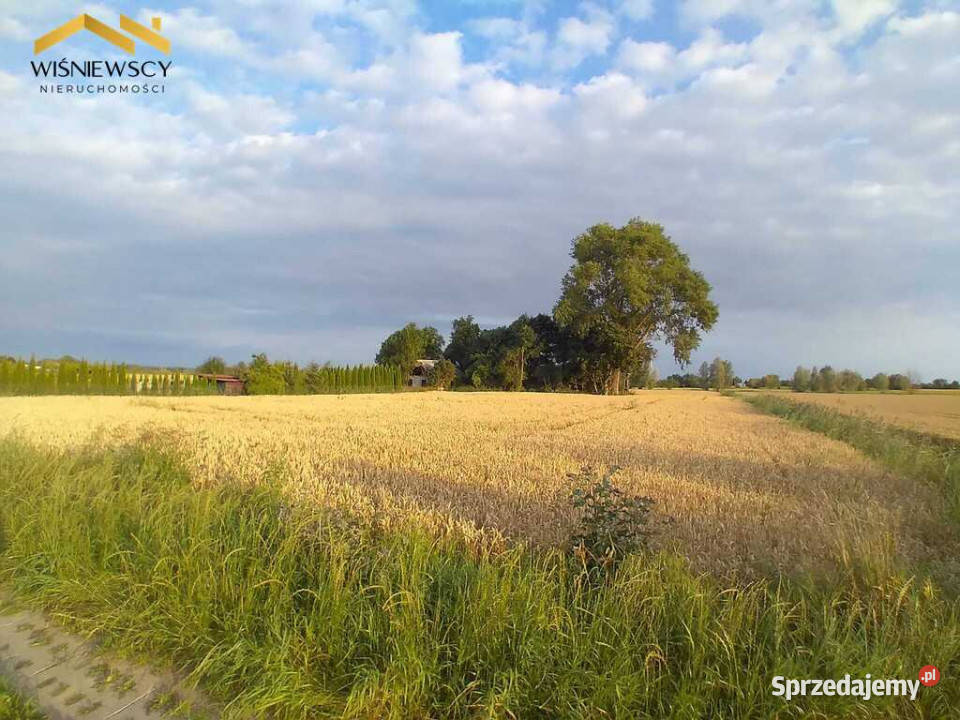 Działka pod agroturystykę Kobyla Kępa utwardzona pomorskie sprzedam