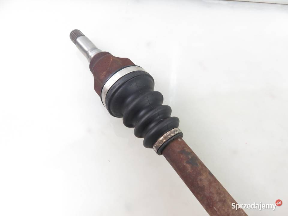 PÓŁOŚ LEWA TYLNA RENAULT KANGOO I 19 dCi osobowe sprzedam