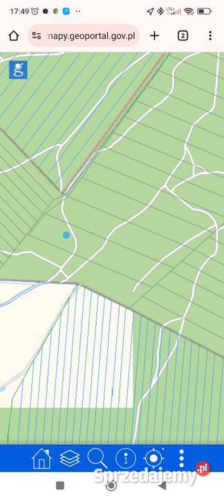 Działka lasu 50m Biskupie sprzedam