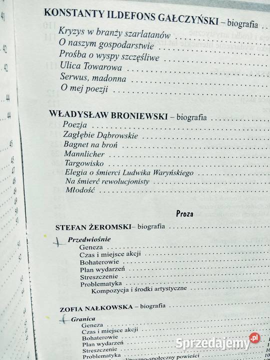 Dwudziestolecie międzywojenne 6 literatura mazowieckie Warszawa
