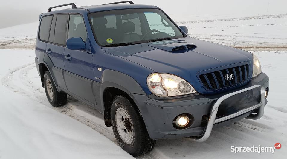 Hyundai Terrcan 29 CRDI hak Jerzmanowice