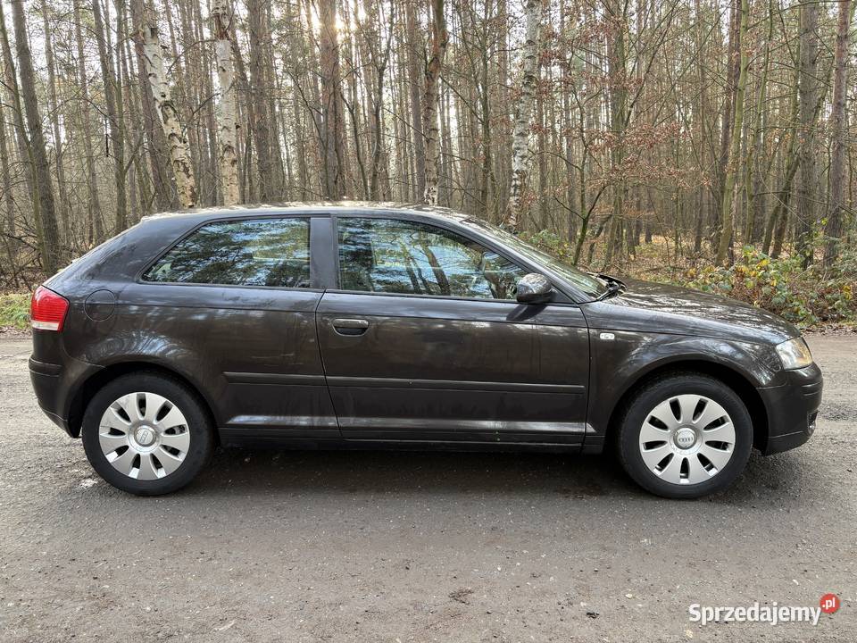 Audi A3 8P 19tdi 2005 zarejestrowane nowe diesel Jelcz-Laskowice