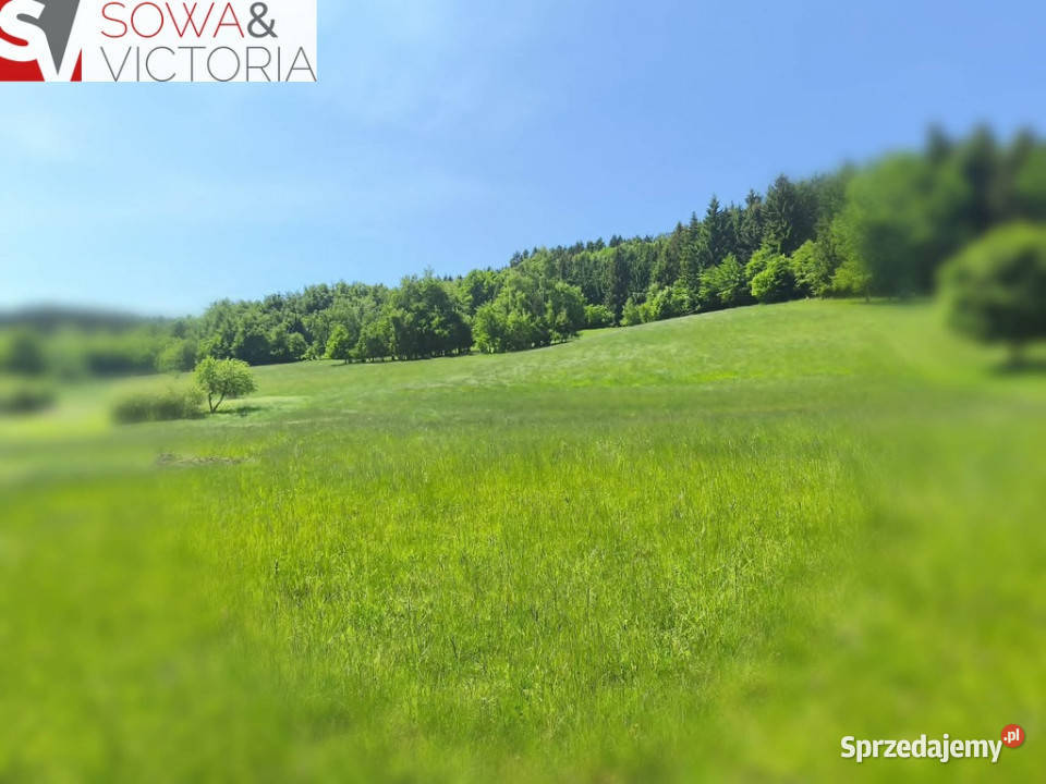 Działka widokowa z prądem wykopany staw utwardzona dolnośląskie Walim