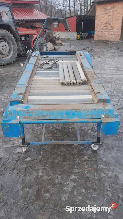 Stół selekcyjny rolkowy przebierczy