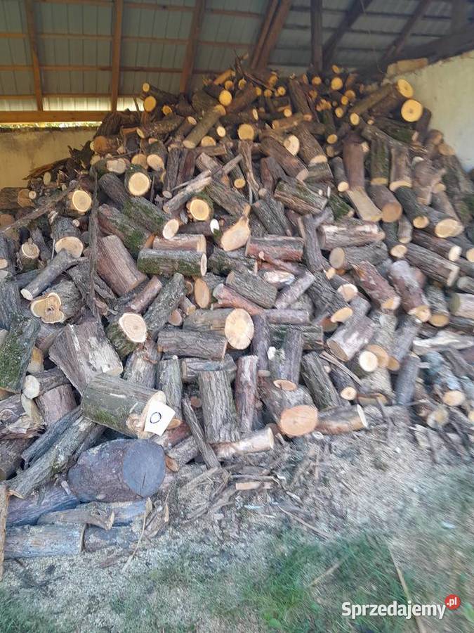 Drzewo Opał świętokrzyskie Łyczba