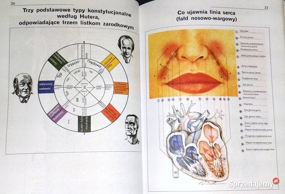 Twarz zwierciadłem usposobienia i zdrowia Chełm sprzedam