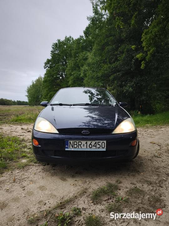 Ford focus MK1 2001 16 benzyna 101 Focus Braniewo