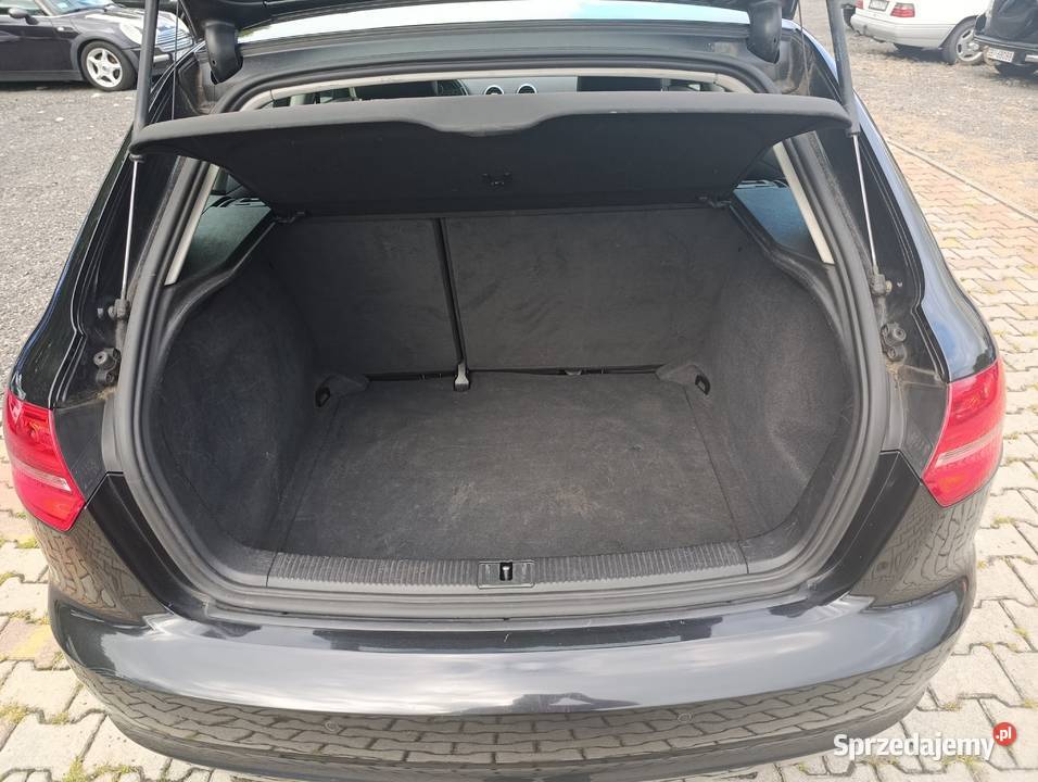 AUDI A3 8P19 TDI 105 Zadbana KLIMA Bujaków