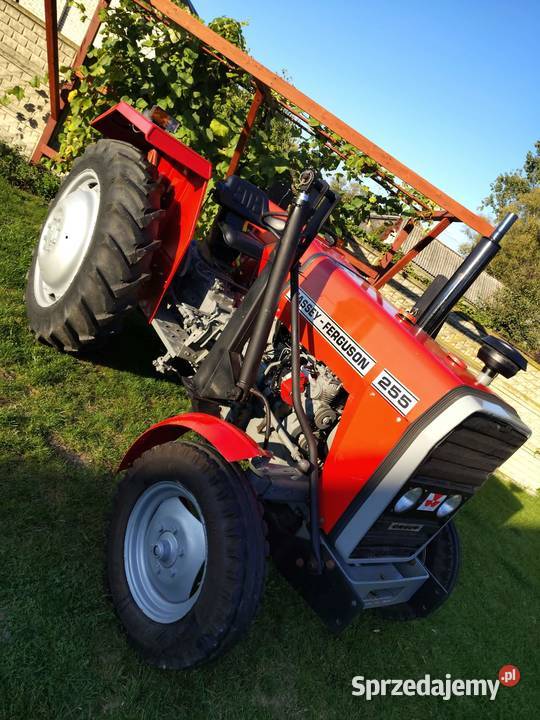 Sprzedam Massey Ferguson 255 Golice