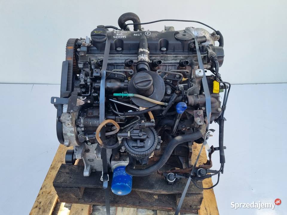 SILNIK KOMPL Fiat Scudo 20 HDI siemens 109 RHZ lubelskie Chełm