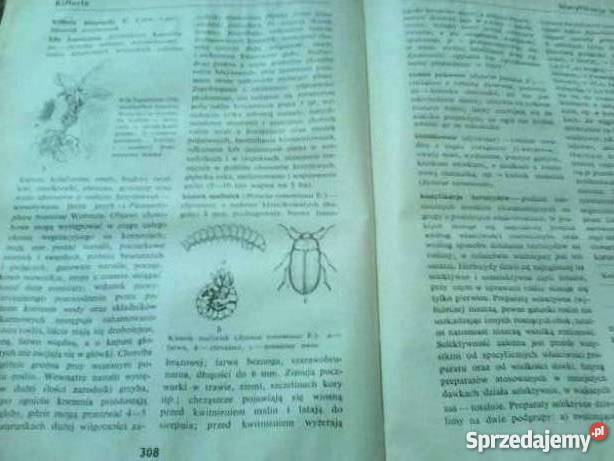 ENCYKLOPEDIA OCHRONY ROŚLIN FA Poradniki, albumy i reportaże Goleniów sprzedam