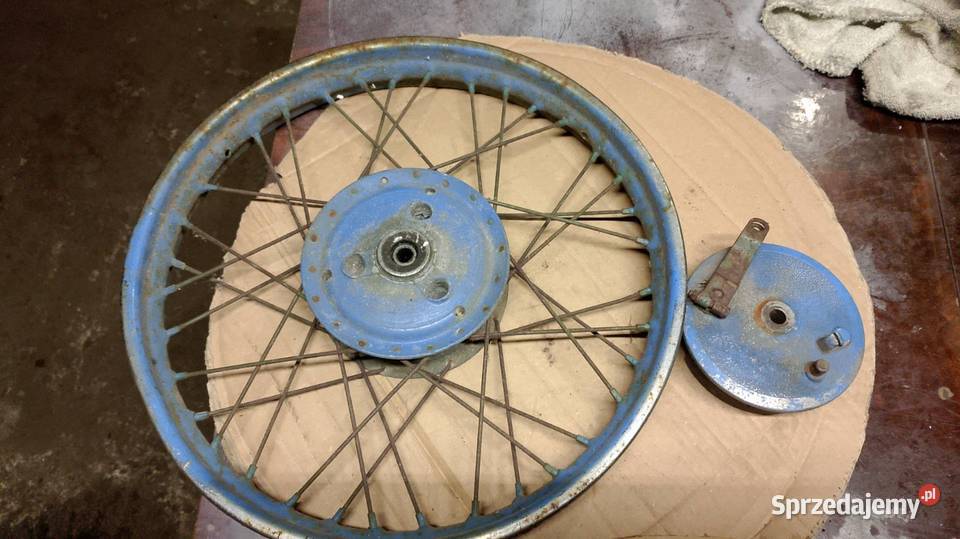 Koło jakwak kaczka Namysłów